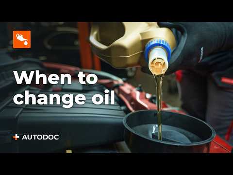 When, why, and how to change engine oil | AUTODOC tips