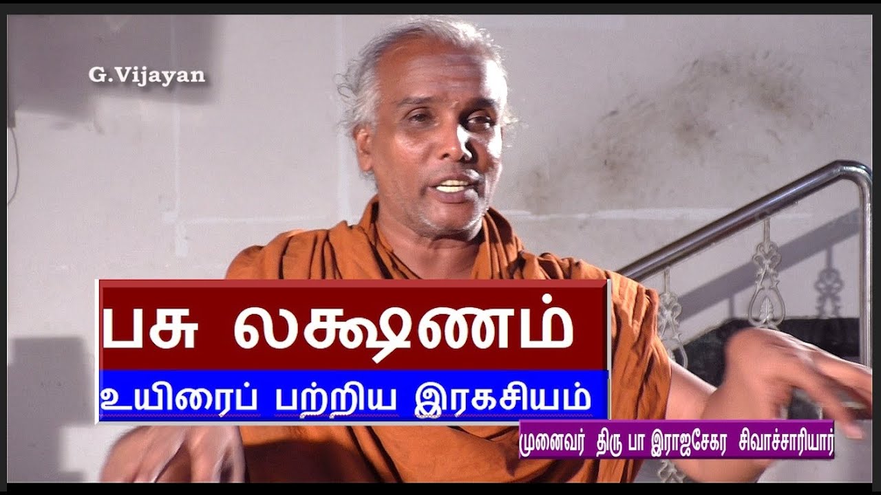 பசு லக்ஷணம், உயிரைப் பற்றிய  இரகசியம் , சிவ பூஜை , பசு லட்சணம், ஐம்புலன்கள், Rajasekara Sivachariyar