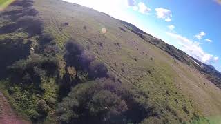 2 Tattu Fun Fly Fresquitas