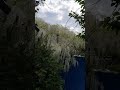 [красота]
