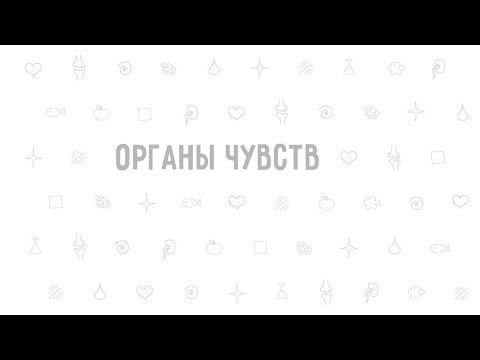 20. Органы чувств . Окружающий мир - 3 класс