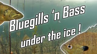 Ice Fishing: Under the ice in Ontario