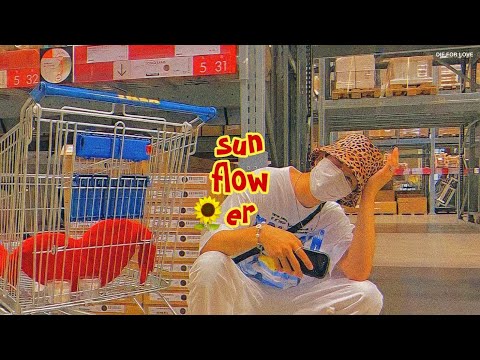 [ THAISUB | แปลไทย ] Sunflower - Rex Orange County