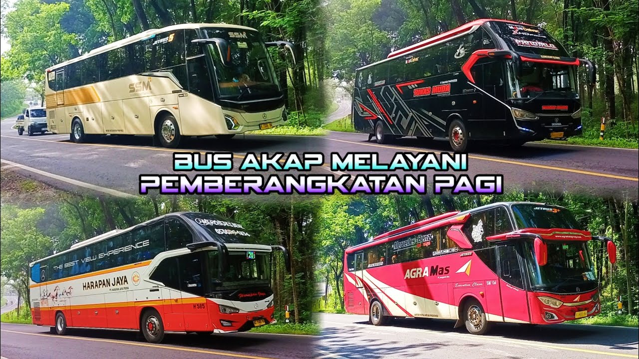 Bis Ini Melayani Pemberangkatan Pagi