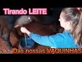 Rotina na ROÇA. Tirando Leite das Nossas Vacas.