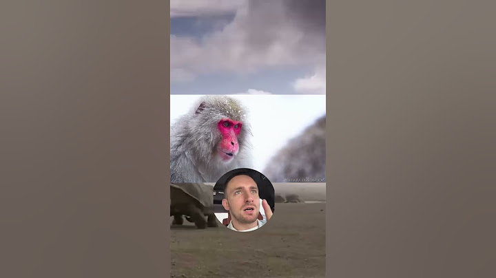 Вы никогда не видели ничего подобного! #шортс #тг 27d