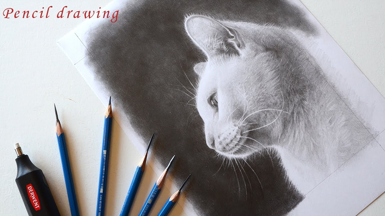 鉛筆画 猫を超リアルに描く方法 鉛筆デッサン イラストメイキング 油絵の下絵 Pencil Drawing Youtube