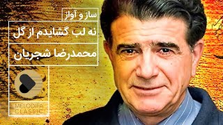 Mohammadreza Shajarian - Na Lab Goshaiadam Az Gol (محمدرضا شجریان - نه لب گشایدم از گل)