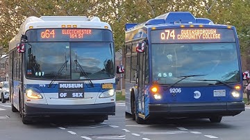 MTA Bus: 2015 New Flyer XD40 #7479 on the Q64 & 2024 Novabus LFS #9206 on the Q74-LTD