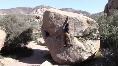 Joshua Tree - Yardarm (V1)