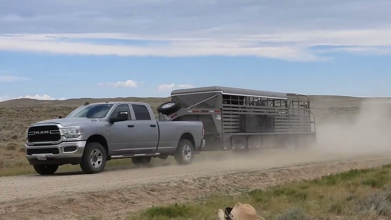 North Landers Complex, WY  BLM Wild Horse Round-Up 7/1/24 Video 24 - Scene and Herd Wild Horses