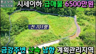 No.1704. 충남부여 시세이하의 급매물 금강 근처의 산속 조용한 곳 계획관리지역 전 701평이 6500만…