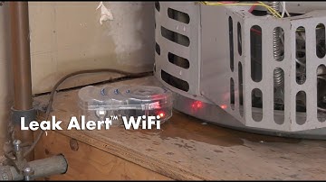 Zircon Leak Alert WiFi Smart Water Detector Sends Email Notifications