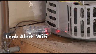 Zircon Leak Alert WiFi Smart Water Detector Sends Email Notifications