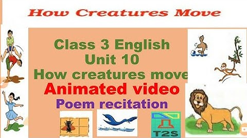 How creatures move   (Video ) Class 3 English    Unit 10. NCERT