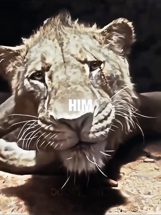 Taka chose to save Mufasa twice #shorts #trending #edit #viralvideo