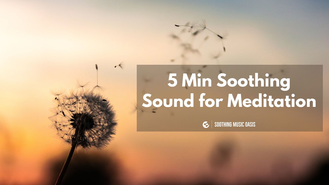 5 Minute Meditation Music Soothing Sounds for Min - YouTube