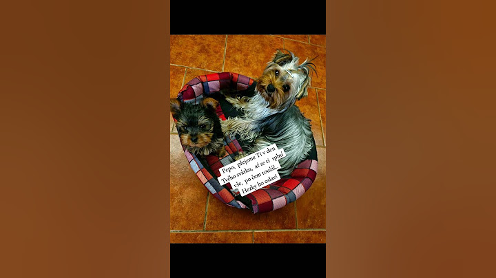 Všem Pepíčkům přejeme všechno nejlepší k svátku ❤️💞❤️⚘️🥂