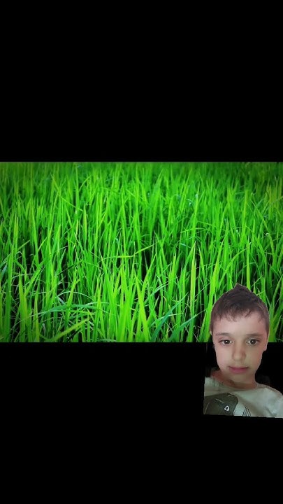 Троллфейс - YouTube