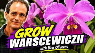 Cattleya warscewiczii: The Ultimate Care Guide with Ben Oliveros