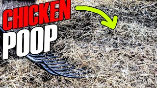 deep litter method chicken straw coop floor