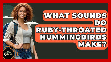 What Sounds Do Ruby-throated Hummingbirds Make? - Exploring Campgrounds