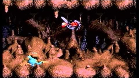 Donkey Kong Country 3: Dixie Kong