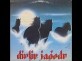 DIVLJE JAGODE - DIVLJE JAGODE (1988)