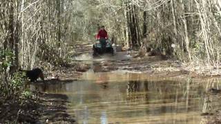 ATV MUDDING