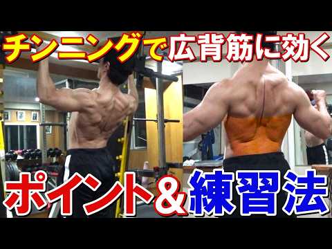 チンニングで広背筋に効くフォームのポイントや、フォームの習得に効果があった2つの練習法を解説します！