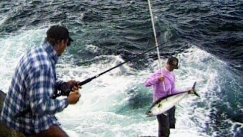 Marlin Off the Rocks: Australia, Spooled