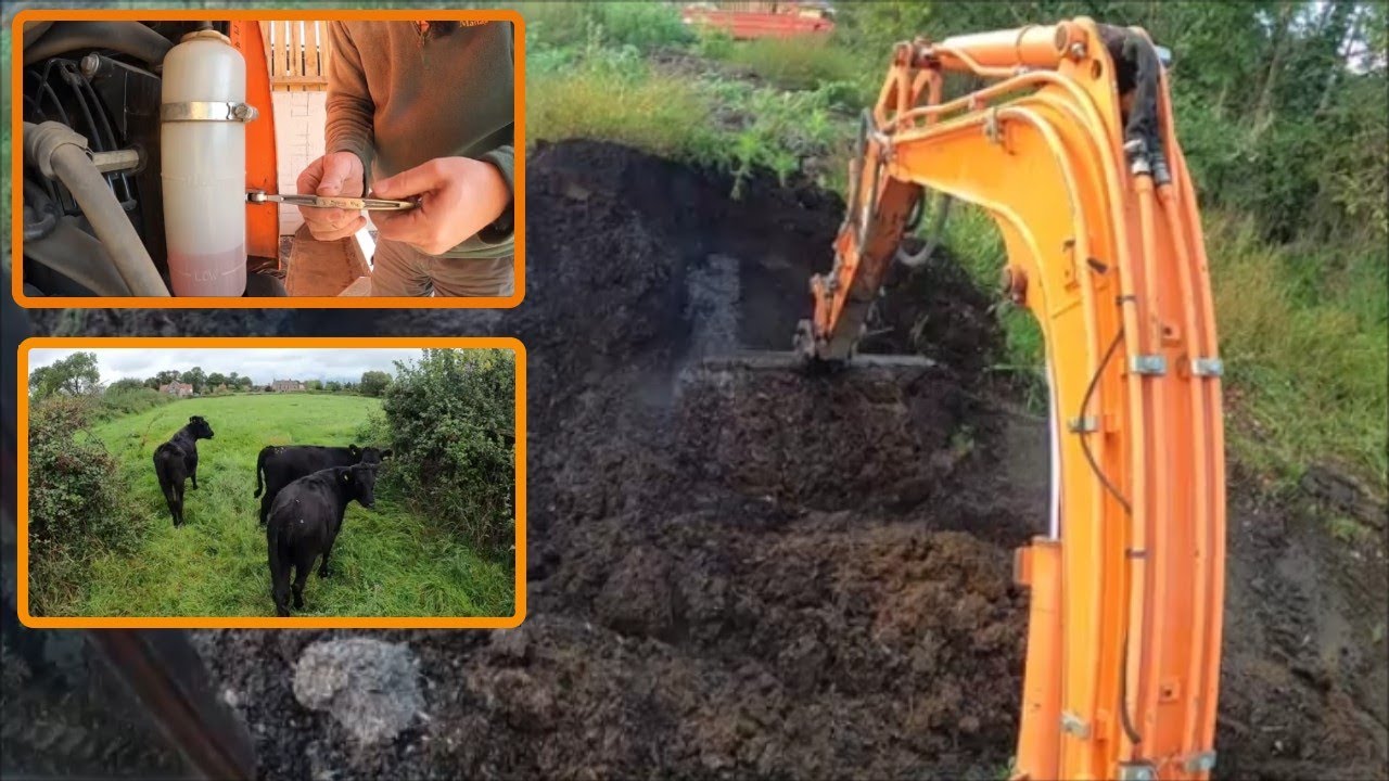 18 09 23 Escaping Cattle And Turning The Muck Heap YouTube 18-09-23-escaping-cattle-and-turning-the-muck-heap-youtube