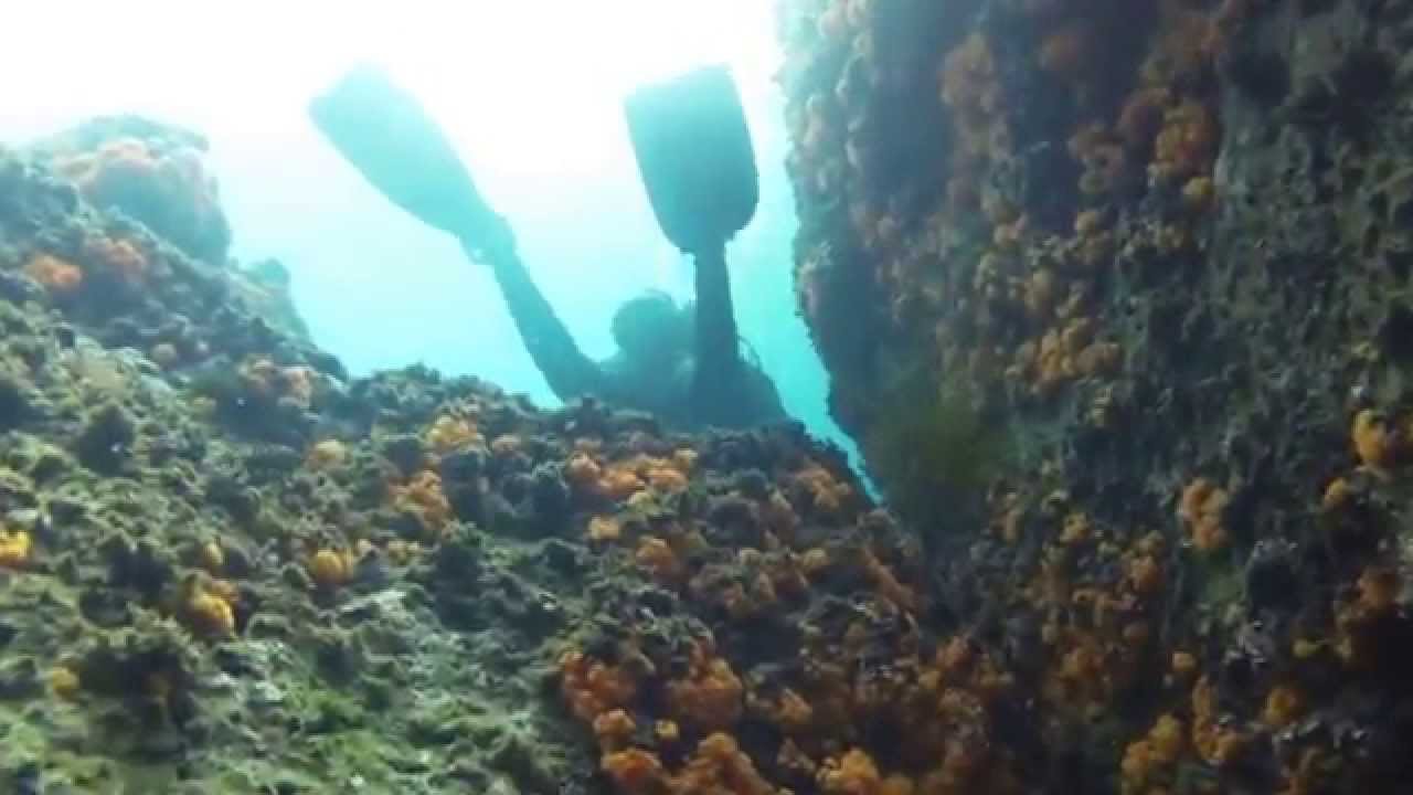 Submarinismo: Paraje natural de Maro-Cerro Gordo. Territorio Congrio. Almuñecar, Granada.