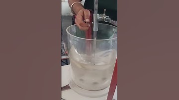 Forced Vortex Flow Experiment at MIMIT Malout: Fascinating Clip Revealing Fluid Dynamics