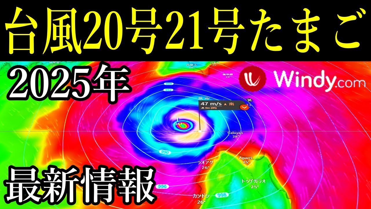 直観　TMP　日本語 直観 TMP 日本語 TMP(Text Mesh Pro) Japanese Font - 猫小屋