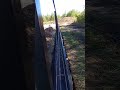 армировка фундамента