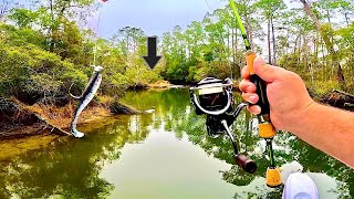 Fishing Micro Swimbaits in this Creek for Prehistoric Fish! *EPIC* by Bama Saltwater 30,116 views 4 months ago 16 minutes