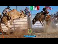 Impresionantes Torazos RANCHO EL AGUAJE EN RENO NEVADA GIRA USA 2021