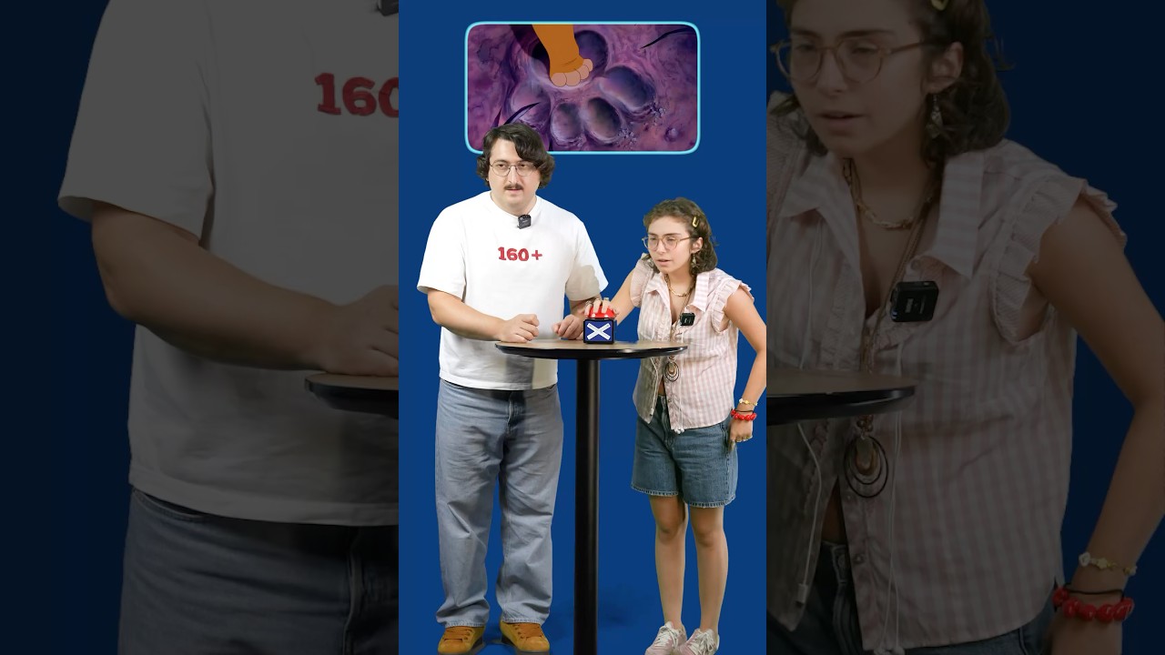 შენ რამდენი ფილმი გამოიცანი? #22გრადუსი #ფილმები #შეჯიბრი #ჰიტა #იუთუბი