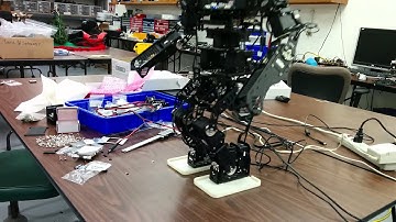 Giger-OP Initial Walking Gait Test #1.