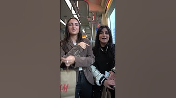 Discover and Explore with QLINE! 🚊✨