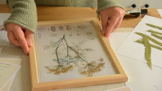 Wall Organization | I turn dry flowers into art. Preparation of medicinal honey from dandelions.