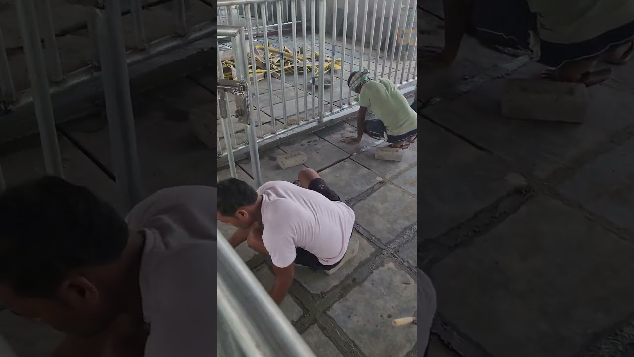 Chepeast and Long Lasting Flooring of Pig Farm 