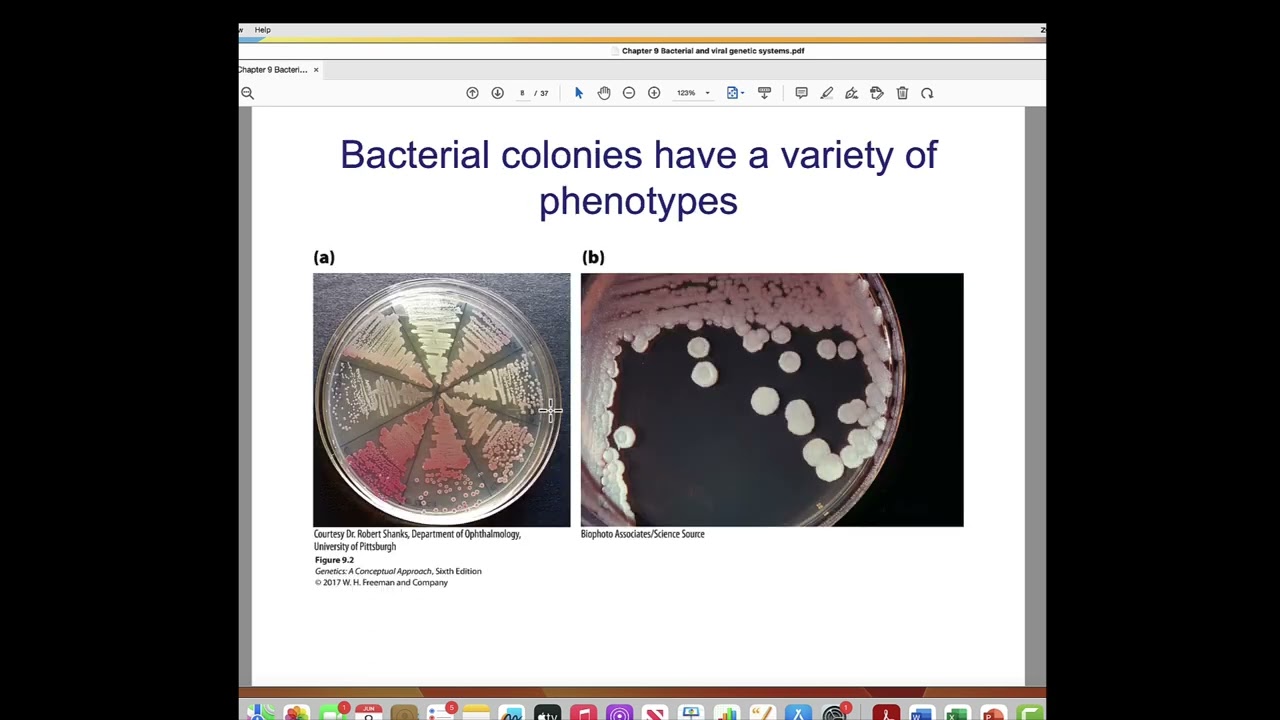 Chapter 9 Bacteria and Viruses