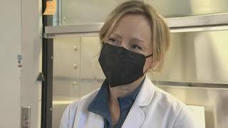 Information Baylor School urges caution as COVID-19 cases rise Guide