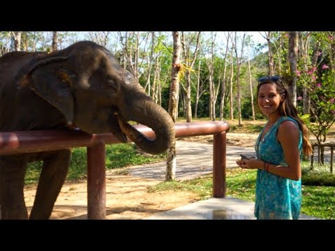 Elephants of Thailand (Sailing Nandji) Ep 123