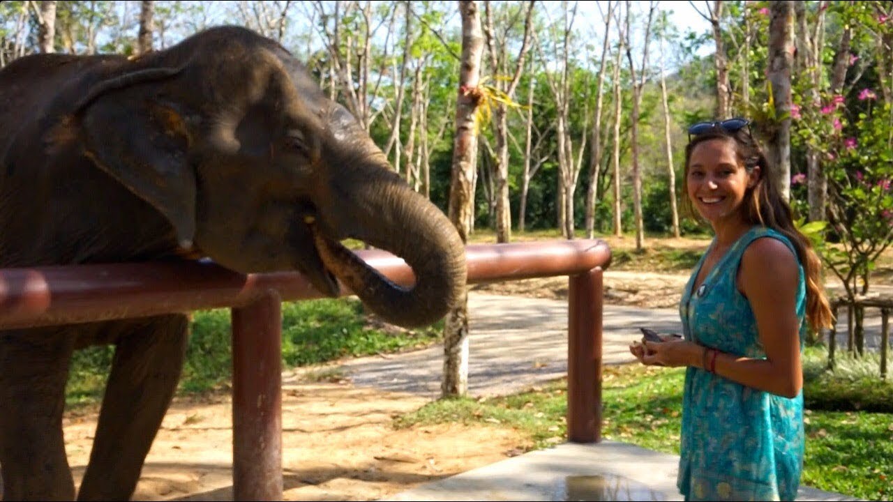 Elephants of Thailand (Sailing Nandji) Ep 123