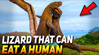 TOP 10 MOST DANGEROUS LIZARDS IN THE WORLD 2021 by Animal Verse 1,551 views 2 years ago 8 minutes, 25 seconds