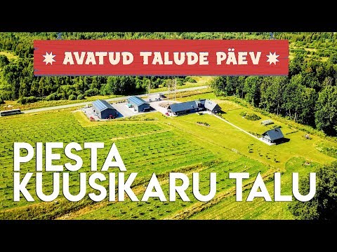 Video: Alpakade Pügamise Päev Talus