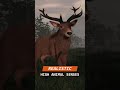 What difficulty will you hunt in VR? - Virtual Hunter Update